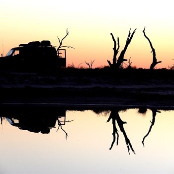 At home on the track