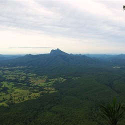 Mt Warning and surrounding landscape