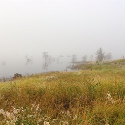 foggy morning on the lake