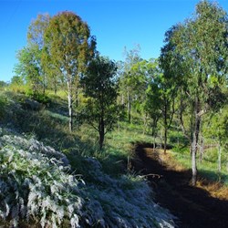 early morning walking - beautiful