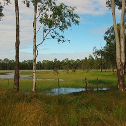 Theresa creek landscape 