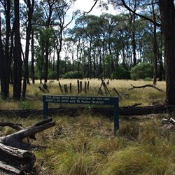 walking through to Wilga campsites