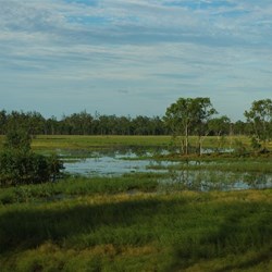 view of the lake from the bird hide