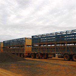 cattle roadtrain at Lynd Junction roadhouse
