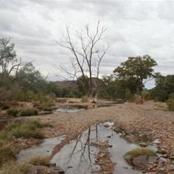 Mt Chambers Gorge Tk