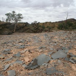 Slate tiles - Mt Chambers Gorge Tk