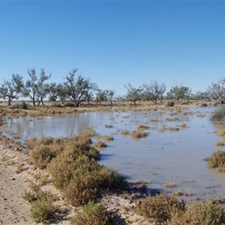Floodwaters on the Edge of the Birdsville Track