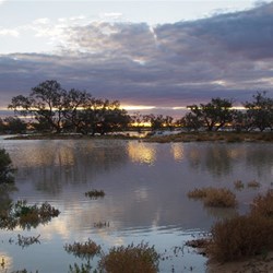 The light starting to change