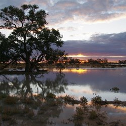Reflections on the Cooper