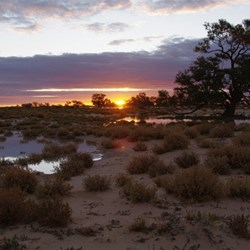 The sun getting low in the sky