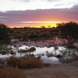 The sun still setting