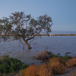 Late in the day at the ferry crossing from the northern side