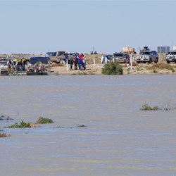Afternoon crowds gather to see the ferry in operation
