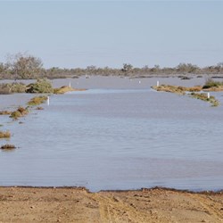 The flooded Birdsville track from the northern side of the Cooper