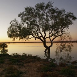 Sunrise on the Cooper