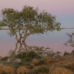 Sunrise on the Cooper