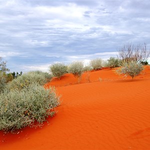Sand Dunes - Welford NP