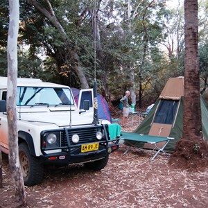 Camping in "The Grove"