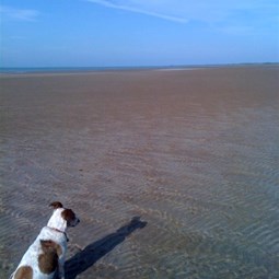 Sunday Drive in Darwin