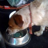 More Darwin Exploring