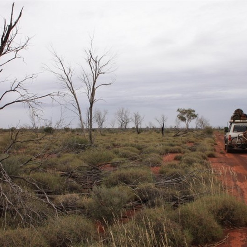 Ominous weather closes in