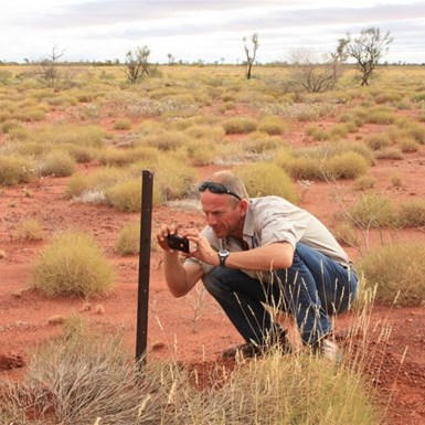 David - always working