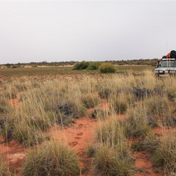 Karrarinarri Claypan