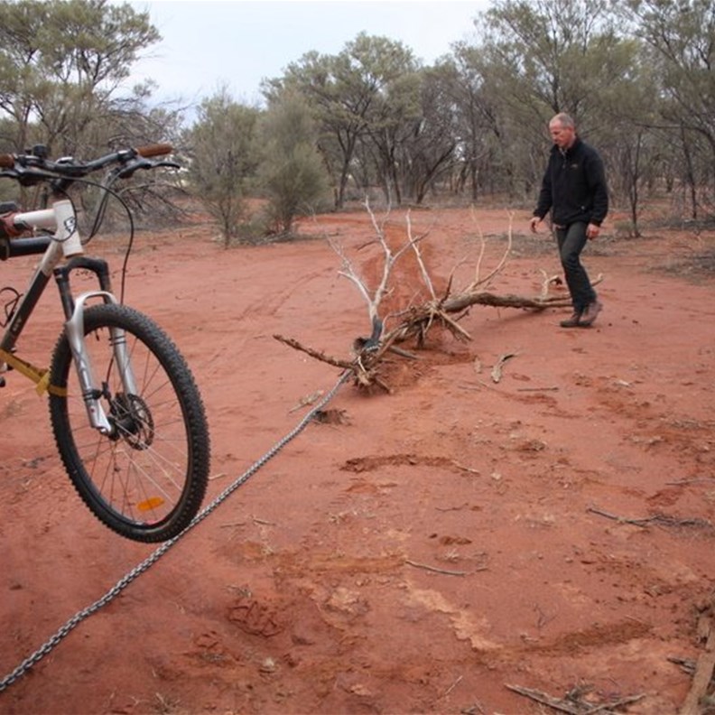 Pulling the dead logs with a drag chain