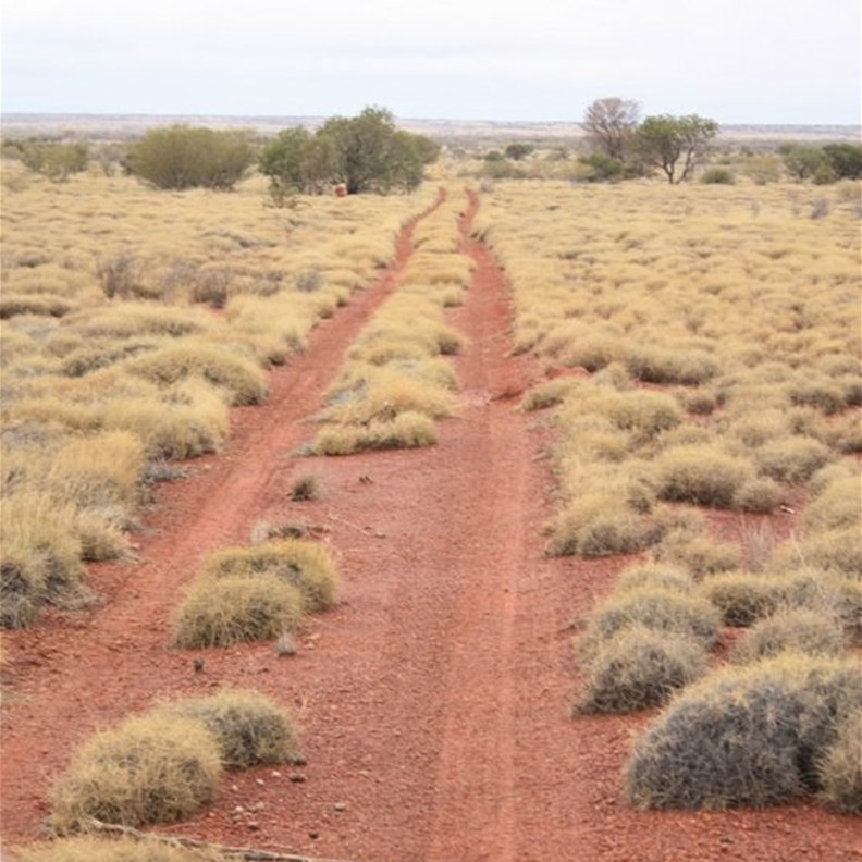 Seeing the Talawanna Track for the first time