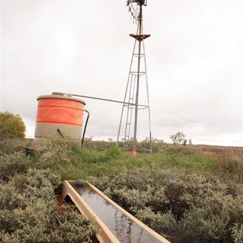 One of many bores on the Punmu Road