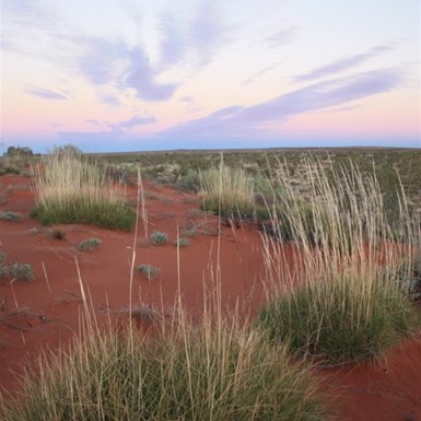 A good end to the day