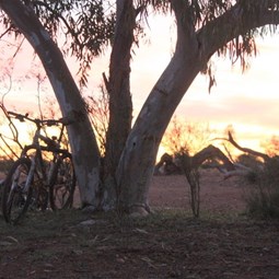 Sunrise view of David's bike