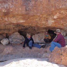 Dinner Plate Turtle Pool