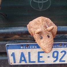 ratty, no longer white