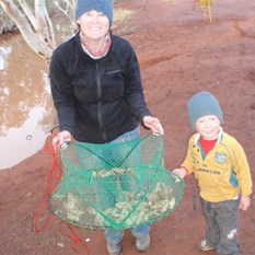 yabbies at North Pool