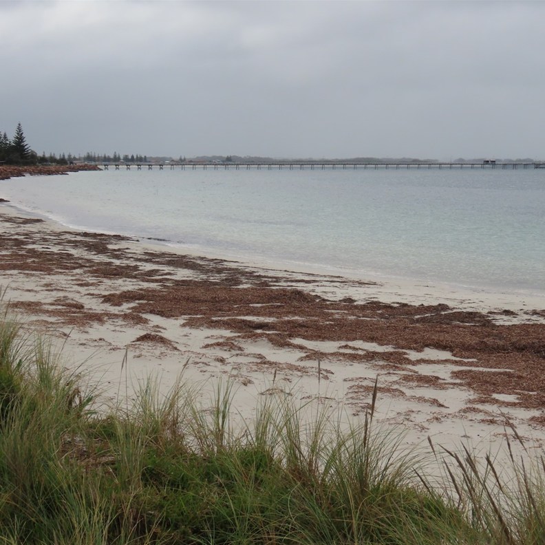 The Jetty