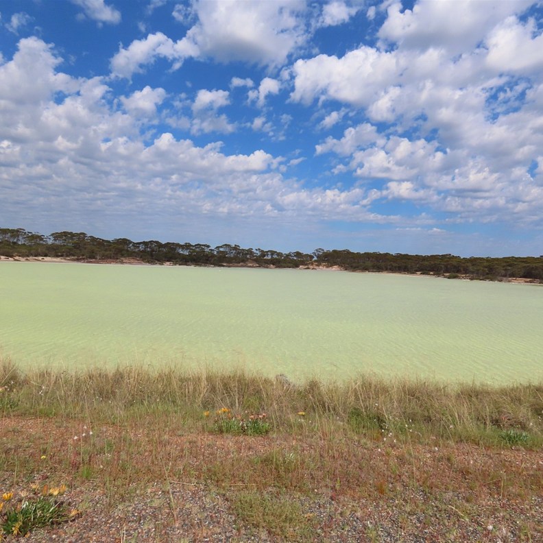 Lake Dundas