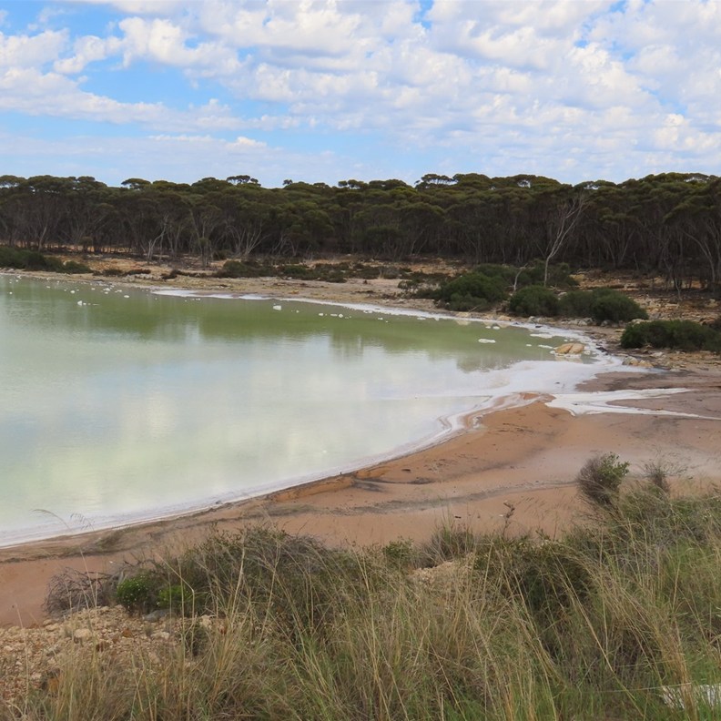Lake Dundas 2