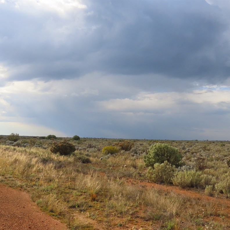 Rain Clouds 3