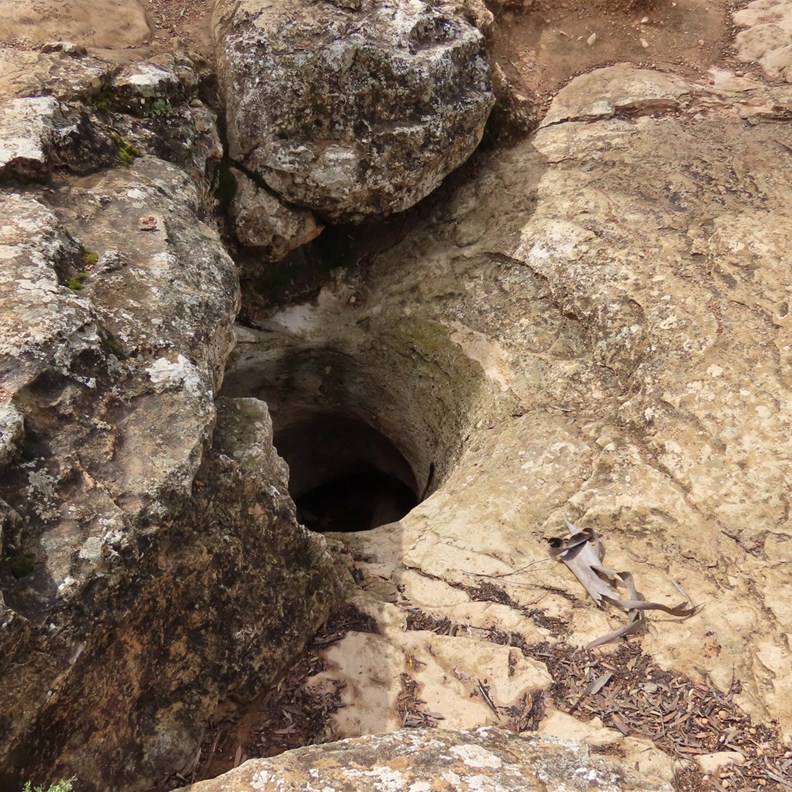 Caiguna Blowhole