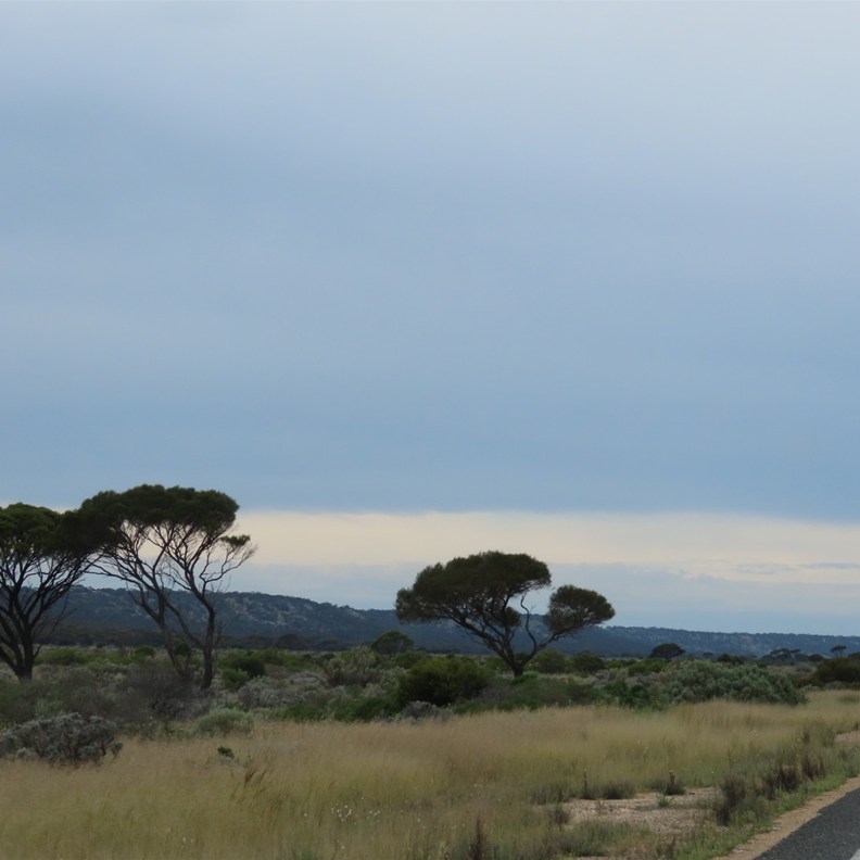 Road to Eucla 2