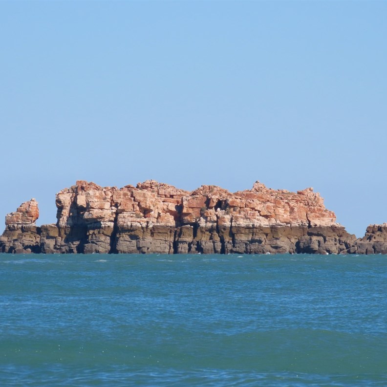 Bird Island