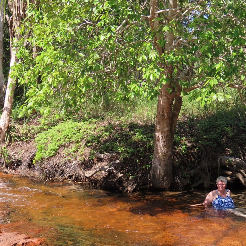 Relaxing in the cool water