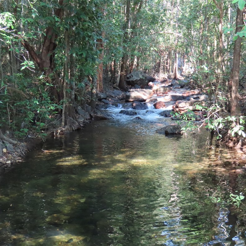 Sandy Creek Walk 2