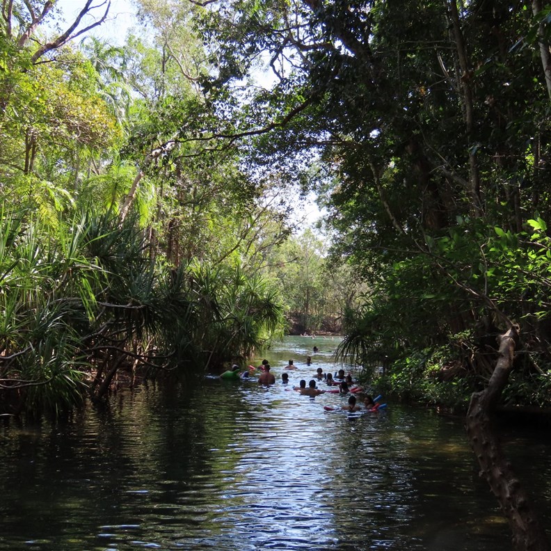 Berry Springs