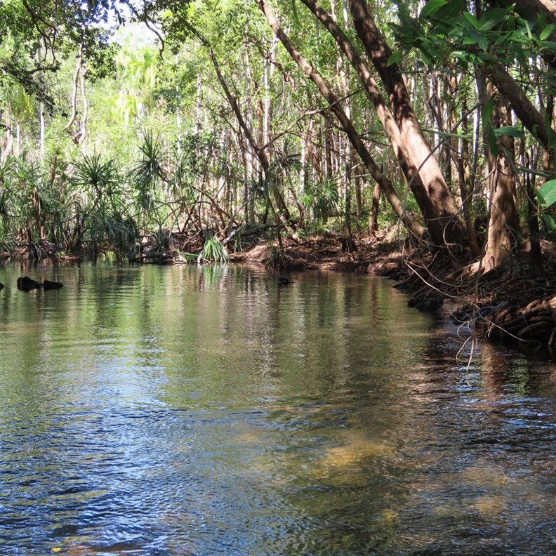 Berry Springs 1