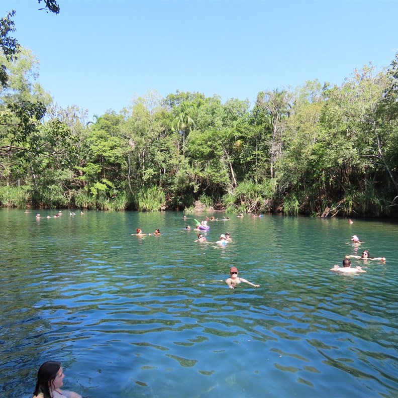 Berry Springs 2