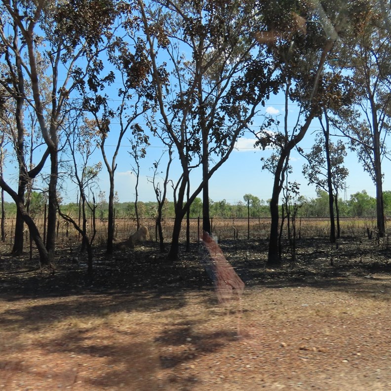 Slow Fire Area