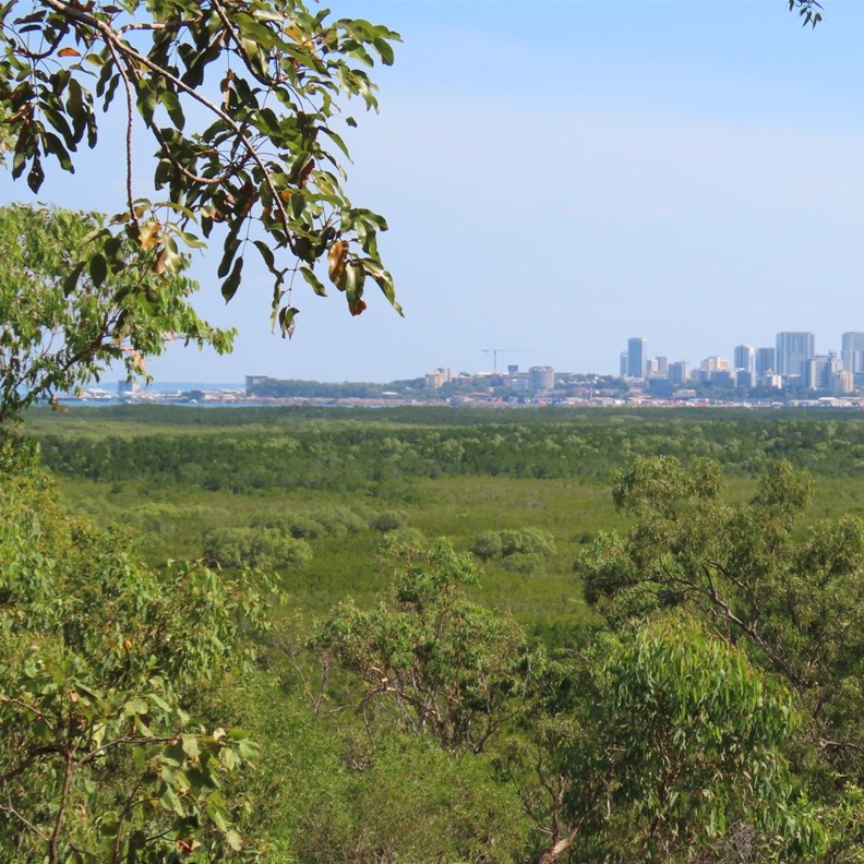 Views of Darwin