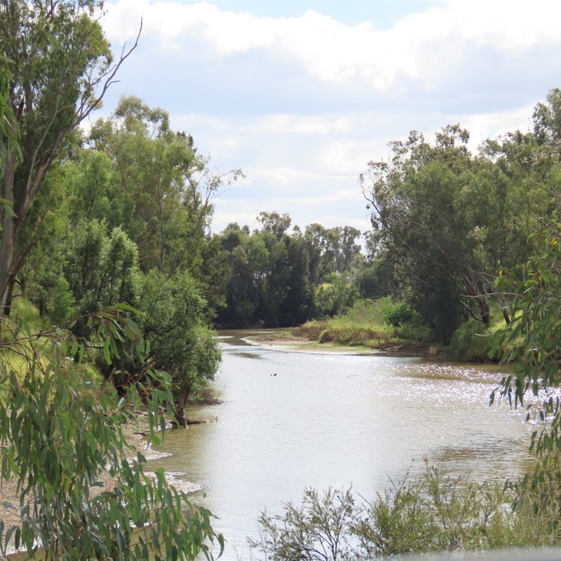 Gum Flat Reserve